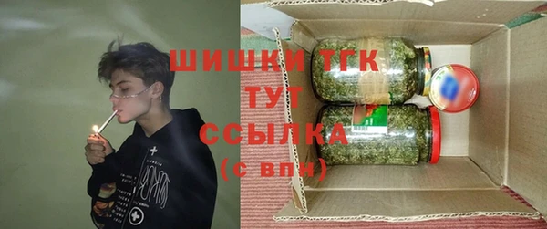 PSILOCYBIN Михайлов