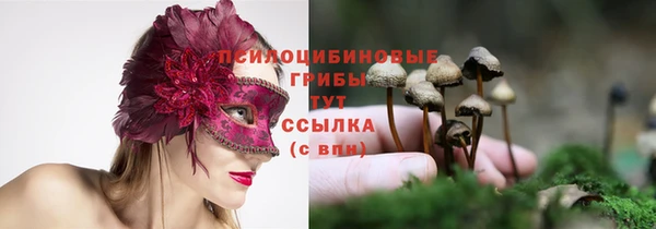 мдпв Наволоки