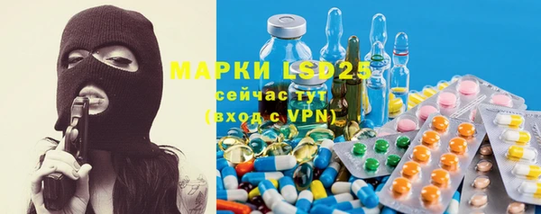 PSILOCYBIN Михайлов