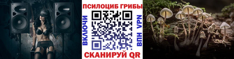 купить наркоту  мориарти формула  Псилоцибиновые грибы Magic Shrooms  Рославль 