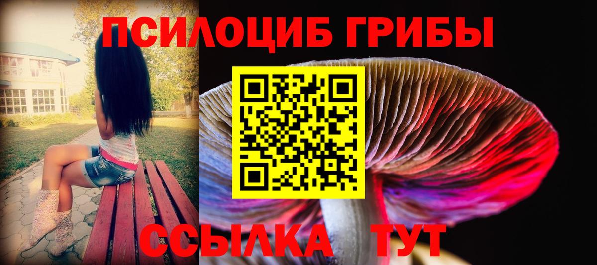 Галлюциногенные грибы прущие грибы  Галлюциногенные грибы Cubensis  Рославль  Вход с VPN 